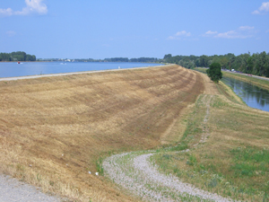 kanalisierter Rhein