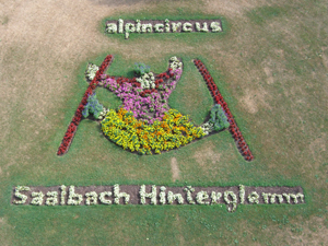 Weißtannenturm in Kehl Blick vom Weißtannenturm