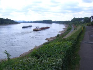 Rheinradweg Rhein-Radweg