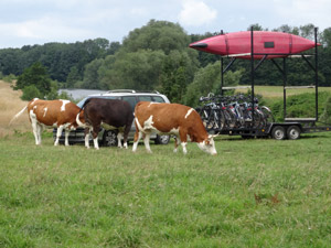 Kanuverleih auf Kuhwiese