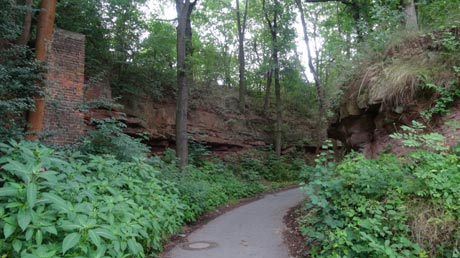 Saaleradweg vor Jena