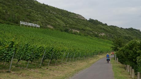 Saaleradweg am Weinberg Saaleradweg am Weinberg