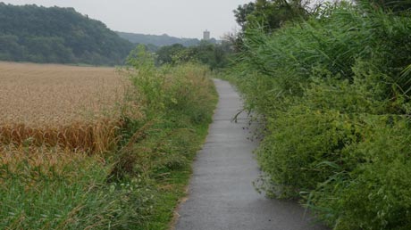 Saaleradweg Saaleradweg