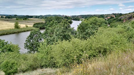 Saaleblick Saaleblick