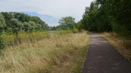 Saaleradweg hinter Bernburg