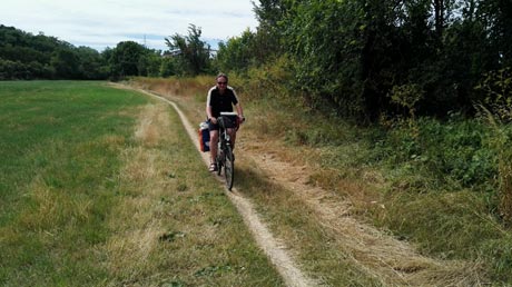 Saaleradweg hinter Bernburg