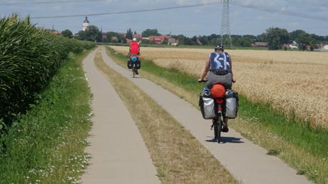 Saaleradweg vor Barby