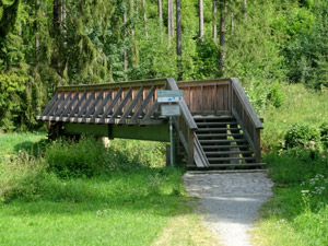 Holzbrücke mit Stufen am Saaleradweg Holzbrücke mit Stufen am Saaleradweg