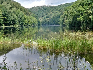 Saale Saaleradweg bei Burgk