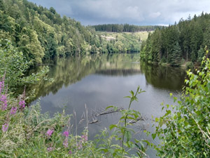 Saale Saaleradweg bei Burgk