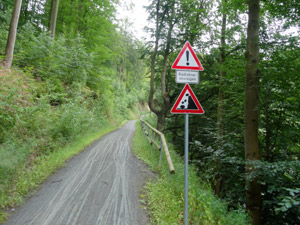 Saaleradweg