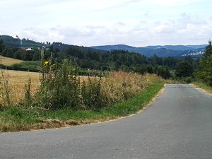 Saaleradweg Saaleradweg