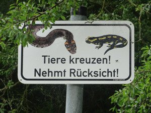 Achtung Tiere kreuzen Radweg