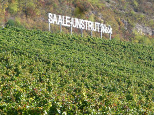 Weinberg Landesweingut Bad Kösen Weinberg Landesweingut Bad Kösen