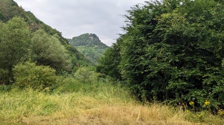 Landschaft am Saar-Radweg