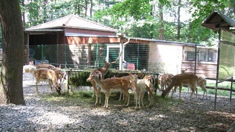 Forst Hermannseck Forst Hermannseck
