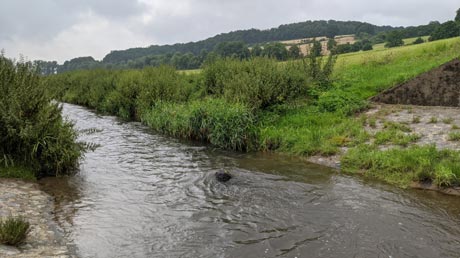 Schwalm am Hochwasserauslauf