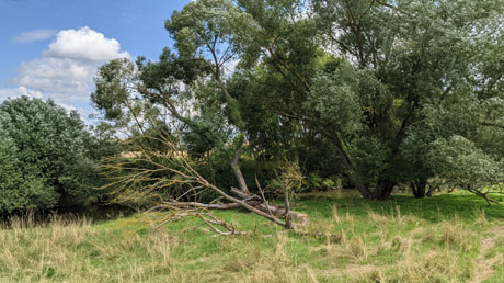 Schwalm Schwalm