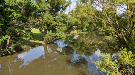 Schwalm Schwalm