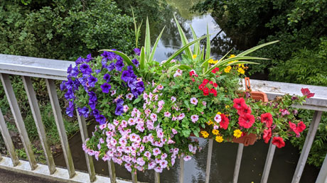 Schwalmbrücke mit Blumen