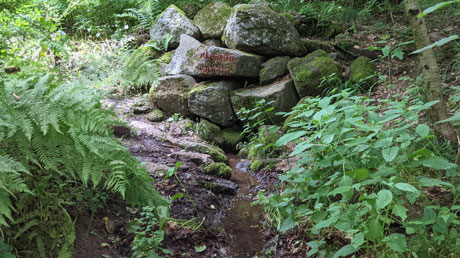 Schwalmquelle Schwalmquelle