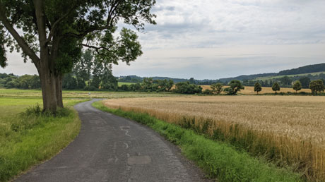 Schwalmradweg Schwalmradweg