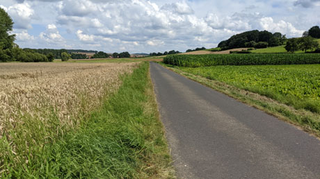 Schwalmradweg