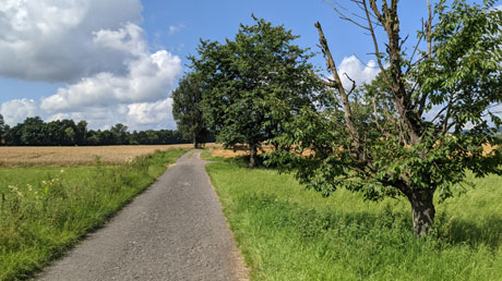 Schwalmradweg Schwalmradweg