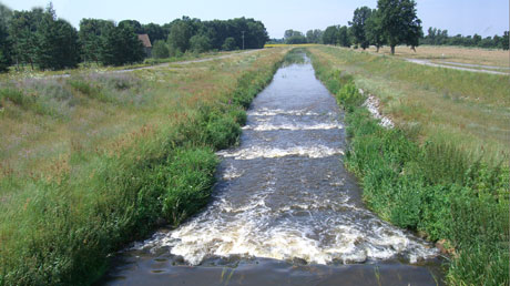 Schwarze Elster Kortitzm&uuml;hle
