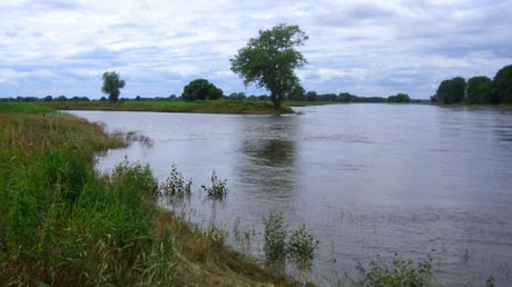 Elster-Elbe-Mündung bei Listerfehrda