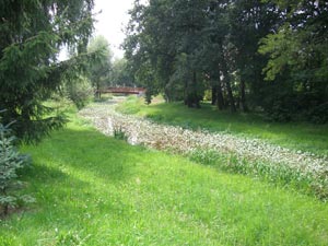 Schwarze Elster Schwarze Elster