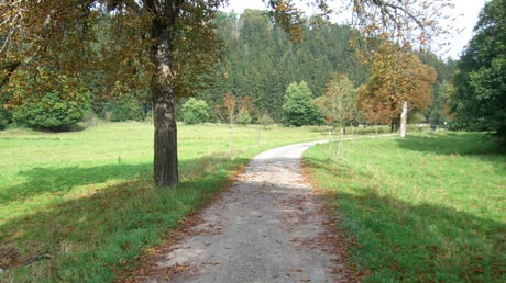 Selketal Radweg Selketal Radweg