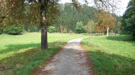 Selketal Radweg