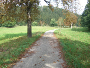Selketal