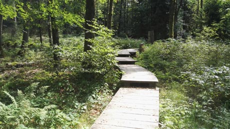 Weg zur Siegquelle Weg zur Siegquelle
