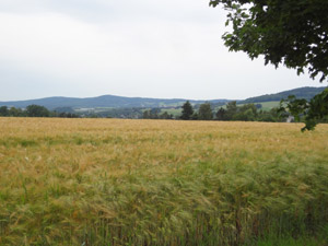 Spreeradweg Spreeradweg
