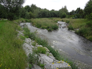 Spree bei Sohland Spree bei Sohland