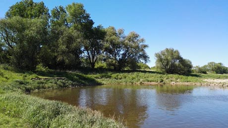 Elbe an der Sülze-Mündung Elbe an der Sülze-Mündung
