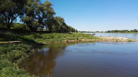 Elbe an der Sülze-Mündung Elbe an der Sülze-Mündung
