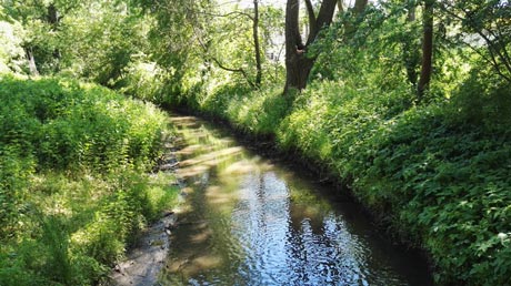 Sülze an der Mühle Sülze an der Mühle