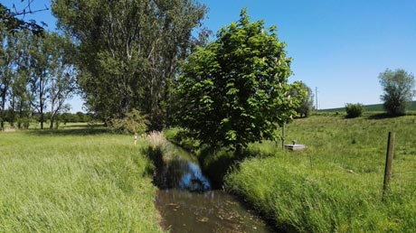 Sülze-Radweg 2017