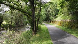 Taubertal-Radweg
