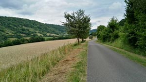 Taubertal-Radweg
