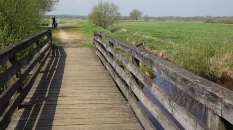 Radweg vom Teufelsmoor zum Wattenmeer