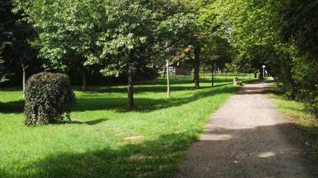 Radweg in Bad Köstritz Radweg in Bad Köstritz