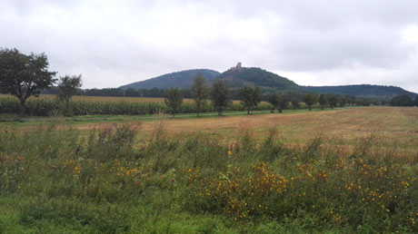 Rückblick zur Burg Rückblick zur Burg