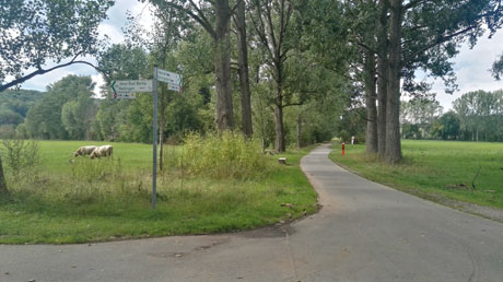 Radweg Radweg