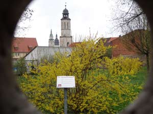 Drei-Türme-Blick Bad Langensalza