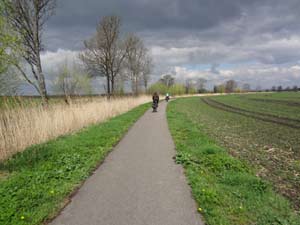 Unstrutried bei Haßleben