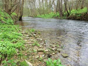 Unstrut Reisersches Tal